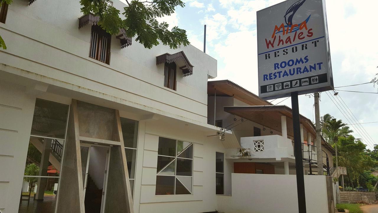 Mira Whales Resort Mirissa Dış mekan fotoğraf